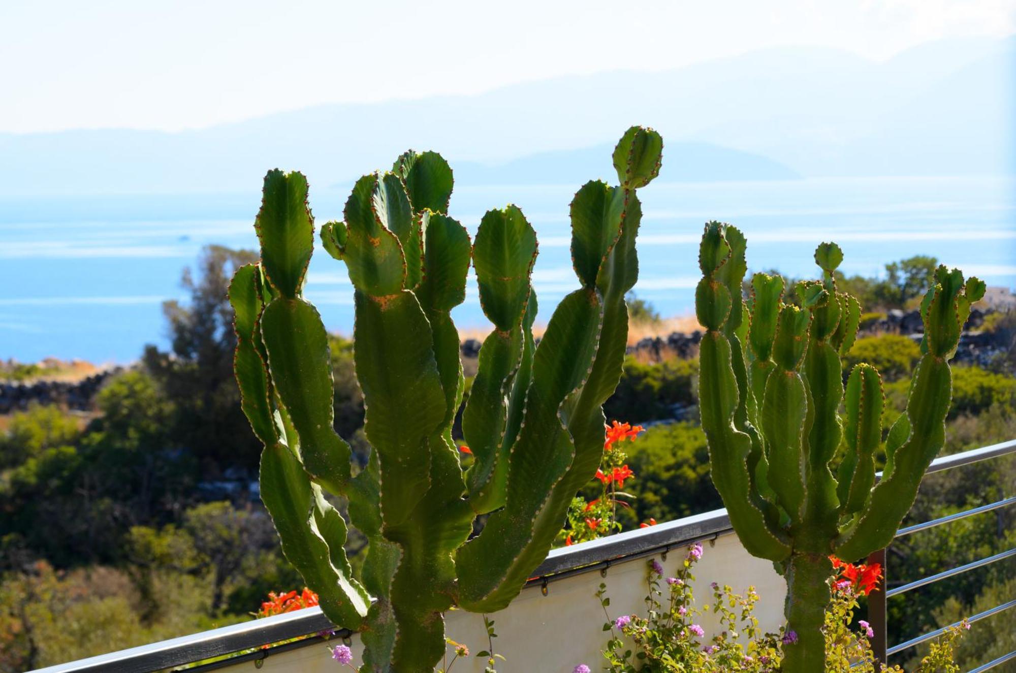 Anemos Elounda Villas Exteriér fotografie